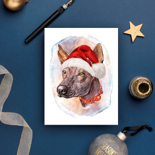 Mexikanische haarlose Weihnachtsgeschenke für Hund Feiertagspostkarte