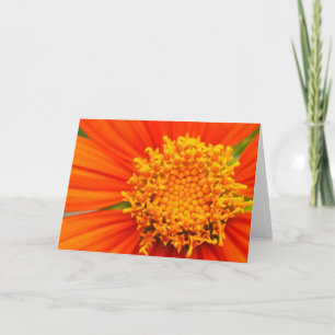 mexikanische Sonnenblume Karte