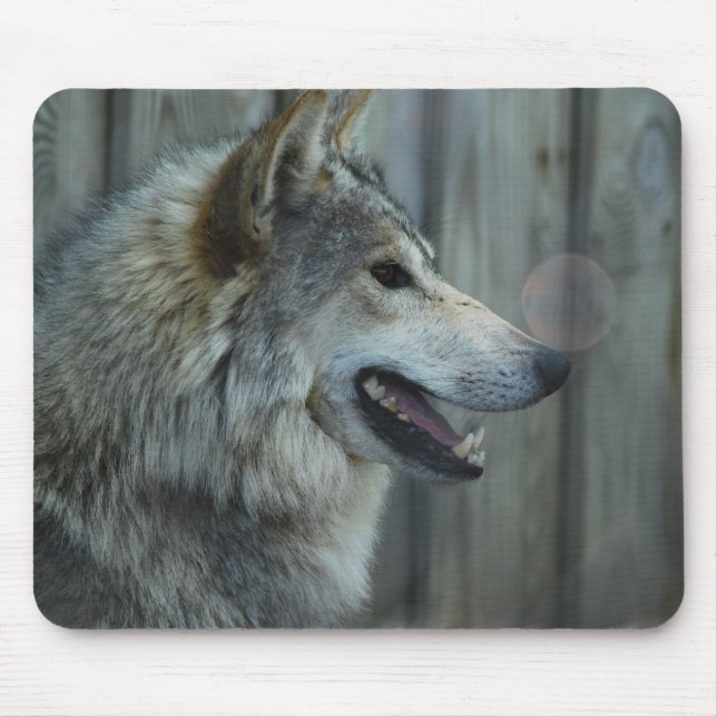 Mexikanische Wolf-Mausunterlage Mousepad (Vorne)