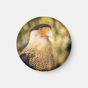 "Mexikanischer Adler" Magnet