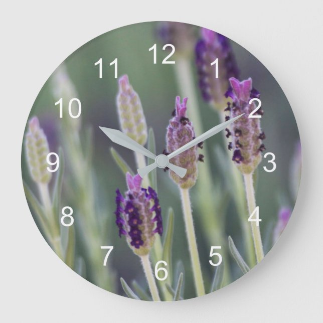 Mexikanischer Lavendel Große Wanduhr (Vorderseite)