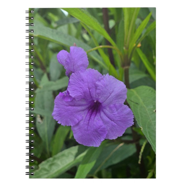 Mexikanischer Petunia Notizblock (Vorderseite)