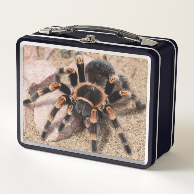 Mexikanischer Roter Knie Tarantula Spider Metall Brotdose (Vorderseite)