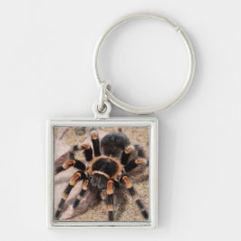 Mexikanischer Roter Knie Tarantula Spider Schlüsselanhänger