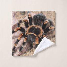 Mexikanischer Roter Knie Tarantula Spider Waschlappen