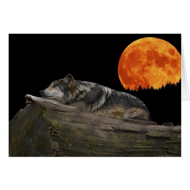 Mexikanischer Wolf & Moon (Vorderseite (Horizontal))