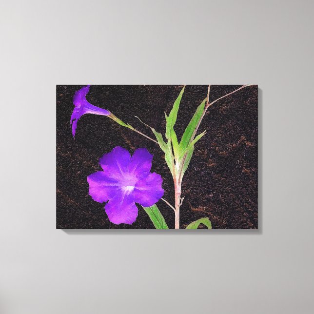 Mexikanisches Petunia Lila Leinwanddruck (Vorderseite)