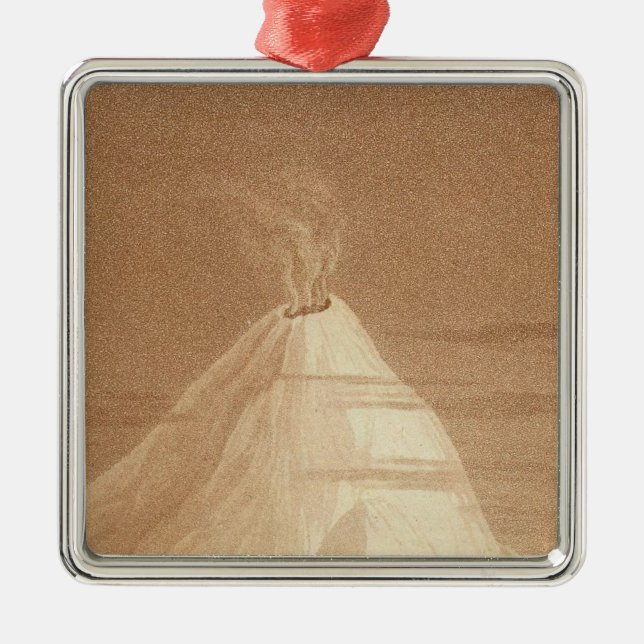 Mexiko-Ansicht von Orizaba Silbernes Ornament (Vorne)