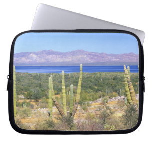 Mexiko, Baja California Sur, Cardon Cactus Laptopschutzhülle