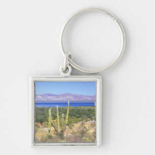 Mexiko, Baja California Sur, Cardon-Kaktus bei Schlüsselanhänger
