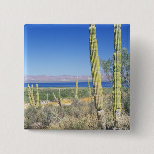 Mexiko, Baja California Sur, Mulege, Bahia Button