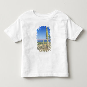 Mexiko, Baja California Sur, Mulege, Bahia Kleinkind T-shirt