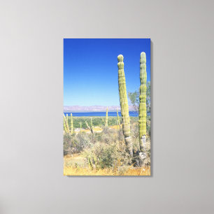 Mexiko, Baja California Sur, Mulege, Bahia Leinwanddruck