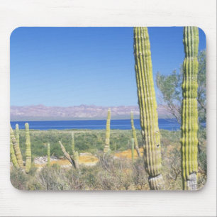 Mexiko, Baja California Sur, Mulege, Bahia Mousepad