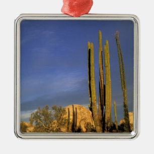 Mexiko, Baja del Norte, Wüstenstaat Catavina Ornament Aus Metall