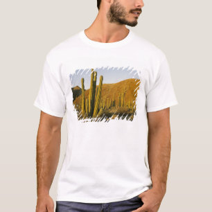 Mexiko, Baja, Santa Catalina Island, Meer T-Shirt