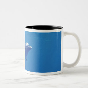 Mexiko, Cozumel. Bottlenosed Dolphin Zweifarbige Tasse