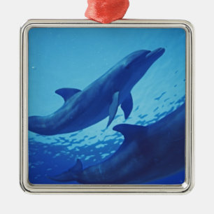Mexiko, Cozumel. Großer Tümmler, Tursiops Ornament Aus Metall