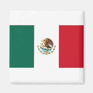Mexiko-Flagge Magnet