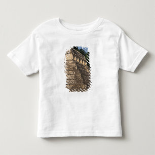Mexiko, Provinz Chiapas, Palenque. Tempel 2 Kleinkind T-shirt