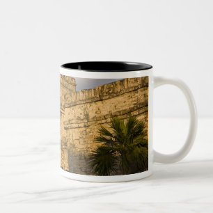 Mexiko, Quintana Roo, Yucatan Halbinsel, Zweifarbige Tasse