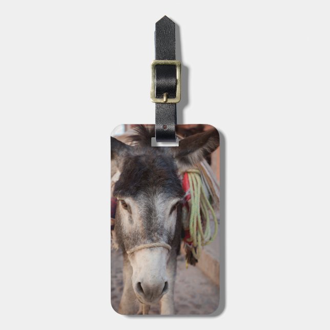 Mexiko, San Miguel De Allende 2 Gepäckanhänger (Vorderseite vertikal)