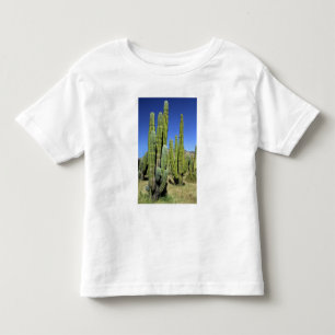 Mexiko, Sonora, San Carlos. Saguaro & Organ Pipe Kleinkind T-shirt
