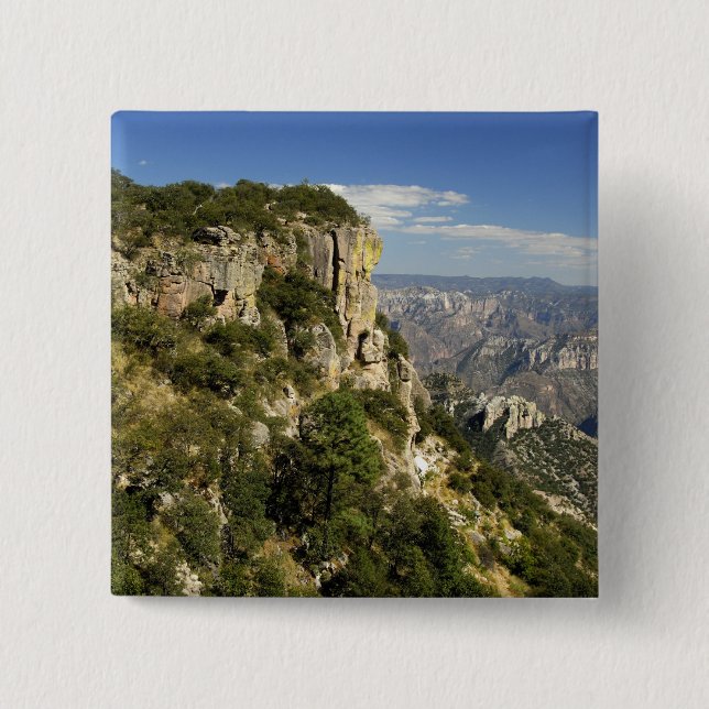 Mexiko, Staat von Chihuahua, Copper Canyon. DIES Button (Vorderseite)