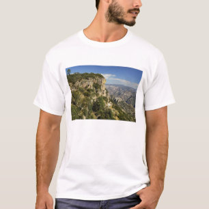 Mexiko, Staat von Chihuahua, Copper Canyon. DIES T-Shirt
