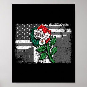 Mexiko - US-Flagge mexikanische Flagge Amerikanisc Poster