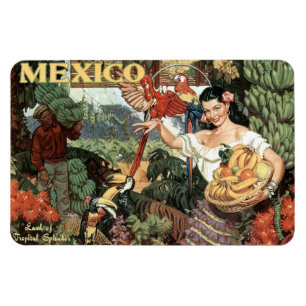 Mexiko Vintage-Reisemagnet Magnet