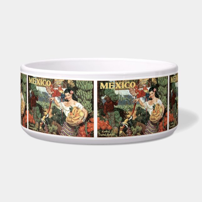 Mexiko Vintage Reisetipps Napf (Vorderseite)