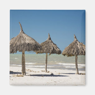 Mexiko, Yucatan-Halbinsel, Progreso. Strohdach Magnet