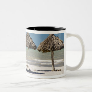 Mexiko, Yucatan-Halbinsel, Progreso. Strohdach Zweifarbige Tasse