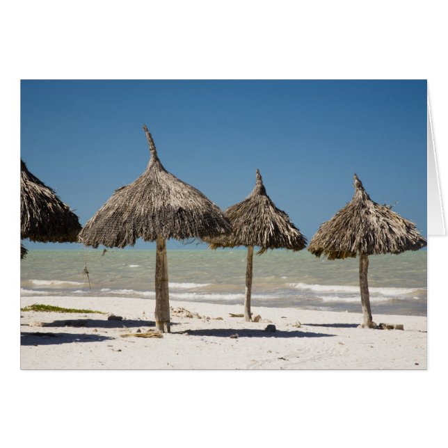 Mexiko, Yucatan Halbinsel, Progreso. Thatch (Vorderseite (Horizontal))