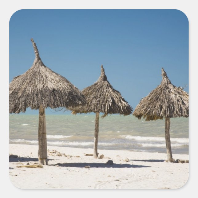Mexiko, Yucatan Halbinsel, Progreso. Thatch Quadratischer Aufkleber (Vorderseite)