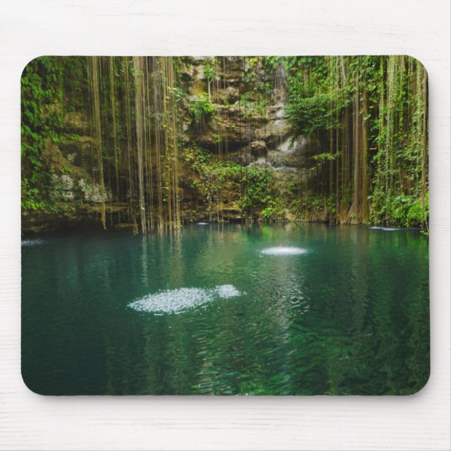 Mexiko, Yucatan, landschaftlicher See Mousepad (Vorne)