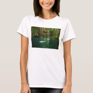 Mexiko, Yucatan, landschaftlicher See T-Shirt