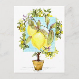 Meyer Lemon Tree Citrus Fruit Garden Postkarte