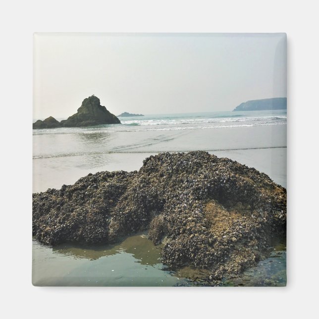 Meyers Beach North, Gold Beach, Oregon Magnet (Vorne)