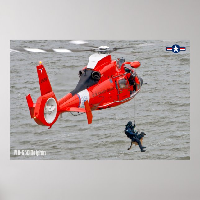 MH-65D DOLPHIN POSTER (Vorne)
