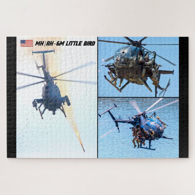 MH/AH-6 MILLIONEN BIRD (20 x 30 INCH) (Horizontal)