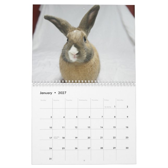 MHRR Honeybadger 12-monatiger Kalender Häschens (Jan 2027)