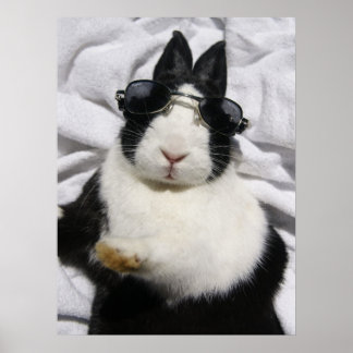 MHRR Néerlandais noir lapin blanc lapin poster d'é