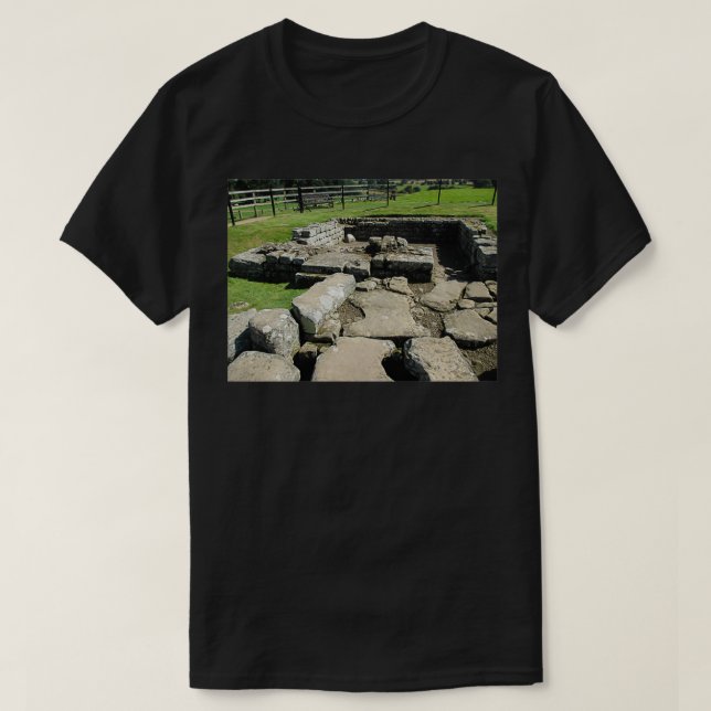 MI 78 Steine und Steine schossen 1 Hängebänder T-Shirt (Design vorne)