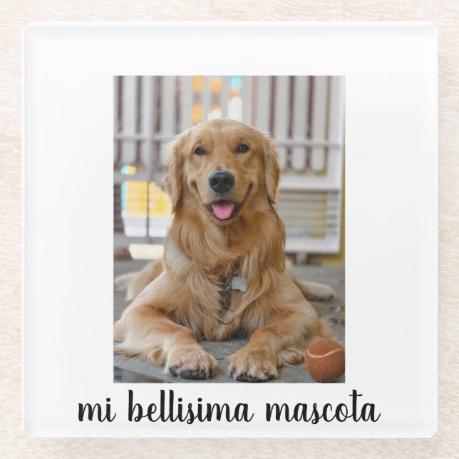 mi bellisima mascota glasuntersetzer (Vorderseite)