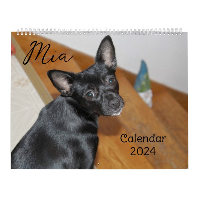 Mia Chihuahua Dog 2024 Kalender (Titelbild)