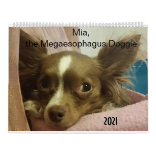 Mia le Megaesophagus Doggie 2021 Calendrier