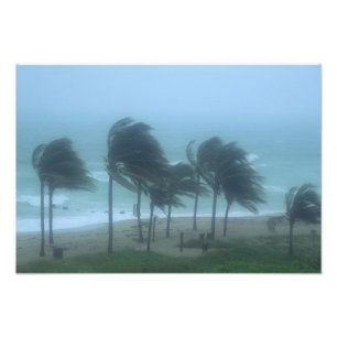 Miami Beach, Florida, Hurrikanwinde peitschen Fotodruck