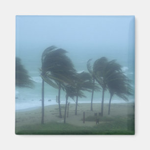 Miami Beach, Florida, Hurrikanwinde peitschen Magnet
